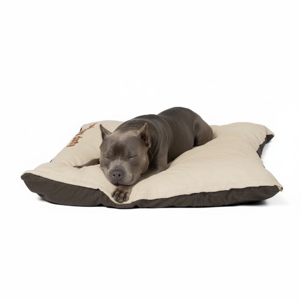 coZzzzy Dog Bed